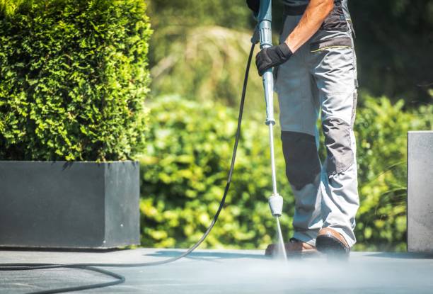 Animal Enclosure Cleaning in Ada, OH